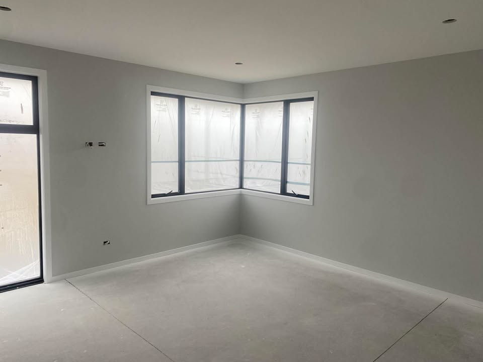 New build entertainment room painting in Dunedin